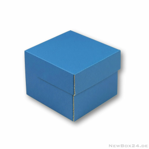 Klappdeckelbox 216 - 115 x 105 x 95 mm