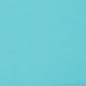 Wellkarton Farbe 13 hellblau - glatt