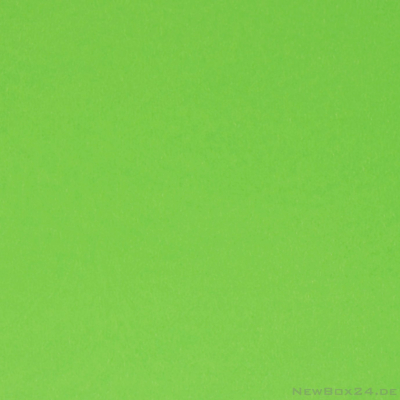 Wellkarton Farbe 10 hellgrün - glatt