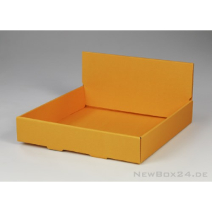 Wellkarton Farbe 07 orange - glatt