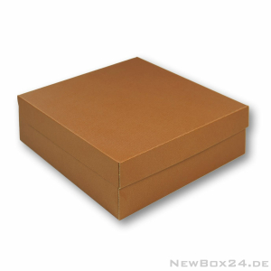Klappdeckelbox 216 - 270 x 250 x 90 mm