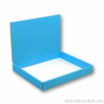 Display 651 in Größe 05 - 300 x 250 x 40 mm