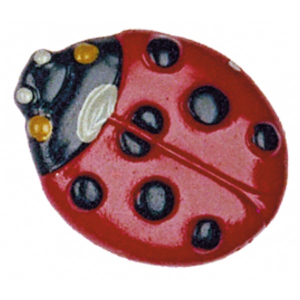 Magnet with Ladybird large