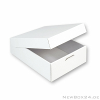 Klappdeckelbox 216 - 165 x 110 x 55 mm