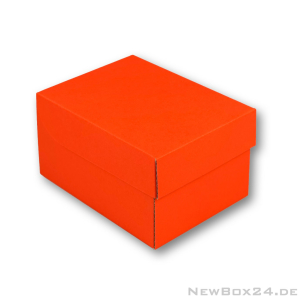 Klappdeckelbox 216 - 155 x 110 x 95 mm