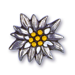 Pewter Brooch Edelweiss