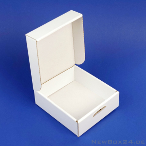 Klappdeckelbox 216 - 120 x 105 x 40 mm