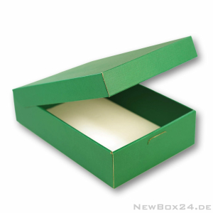 Klappdeckelbox 216 - 310 x 200 x 75 mm