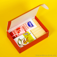 Klappdeckelbox 212 - 155 x 110 x 45 mm