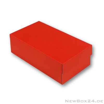 Klappdeckelbox 216 - 250 x 130 x 80 mm
