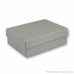 Stülpdeckelbox 401 - 280 x 200 x 100 mm