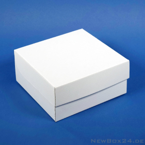 Klappdeckelbox 216 - 150 x 150 x 75 mm