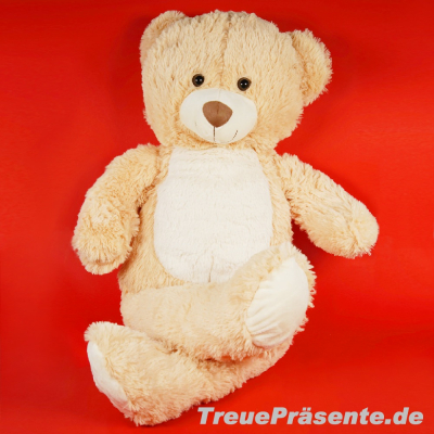 Plüsch-Bär hellbraun/beige, ca. 80 cm komplett