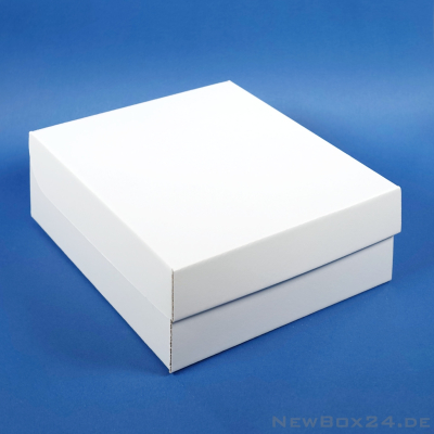 Klappdeckelbox 216 - 205 x 170 x 85 mm