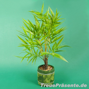 Kunst-Pflanze Bambus mit Topf, ca. 48 cm