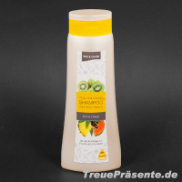 Shampoo Frucht & Vitamin, Shiny Clean, sanfte Pflege, 500 ml