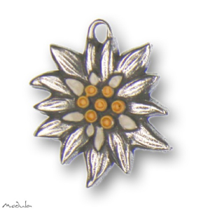 Anhänger Edelweiß mittel - ausverkauft!