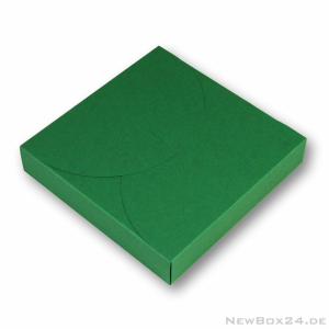 Karton Farbe 06 grün