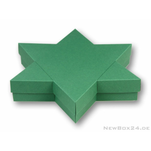 Karton Farbe 06 grün