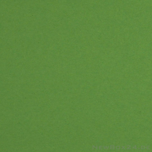 Karton Farbe 10 hellgrün