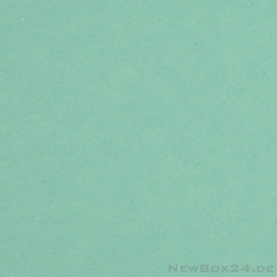 Karton Farbe 22 mint