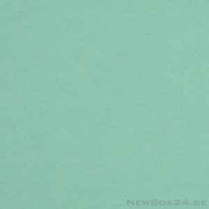 Karton Farbe 22 mint