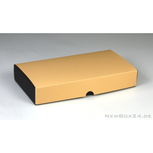 Karton Farbe 27 apricot