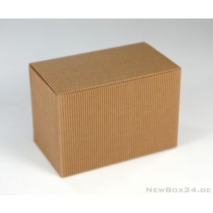 Faltbox Nr. 13, 210 x 145 x 125 mm - Wellkarton