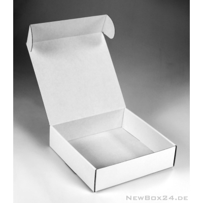 Klappdeckelbox 212 - 200 x 200 x 55 mm