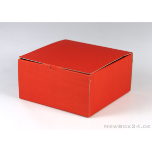 Klappdeckelbox 215 - 200 x 200 x 100 mm