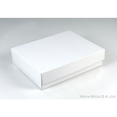 Klappdeckelbox 216 - 245 x 190 x 60 mm (Querformat)