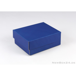 Klappdeckelbox 216 - 160 x 125 x 65 mm