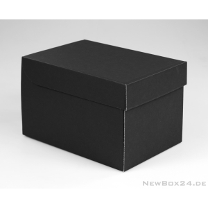 Klappdeckelbox 216 - 210 x 140 x 140 mm