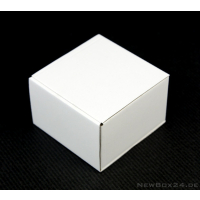 Klappdeckelbox 210-01, 96 x 96 x 60 mm