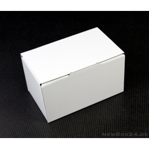 Klappdeckelbox 210-08, 165 x 100 x 90 mm