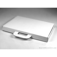 Kofferbox 673 in Größe 01 - 425 x 305 x 40 mm