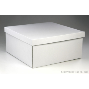 Stülpdeckelbox 401 - 320 x 320 x 150 mm