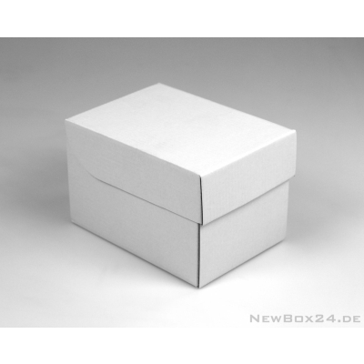 Klappdeckelbox 216 - 142 x 95 x 95 mm