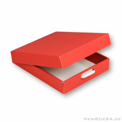 Klappdeckelbox 216 - 205 x 155 x 35 mm