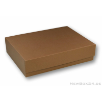 Klappdeckelbox 216 - 340 x 250 x 80 mm