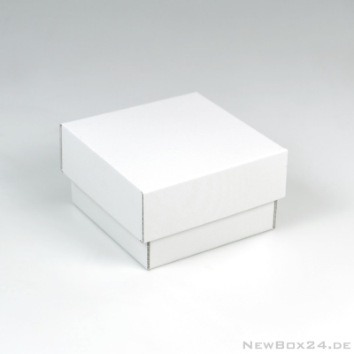 Stülpdeckelbox 401 - 130 x 130 x 80 mm