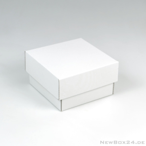 Stülpdeckelbox 401 - 130 x 130 x 80 mm