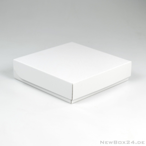 Klappdeckelbox 216 - 200 x 200 x 50 mm