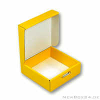 Klappdeckelbox 216 - 120 x 120 x 40 mm