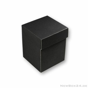 Klappdeckelbox 216 - 100 x 100 x 145 mm