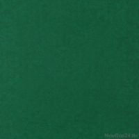 Wellkarton Farbe 06 grün - glatt