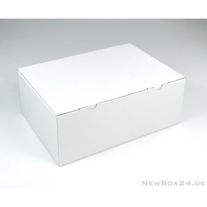 Klappdeckelbox 215 - 300 x 215 x 120 mm