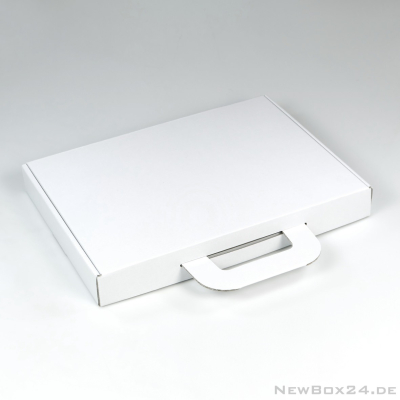Kofferbox 673 in Größe 02 - 340 x 240 x 40 mm