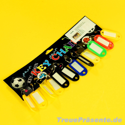 Schlüsselanhänger mit Beschriftungsfeld, farblich sortiert